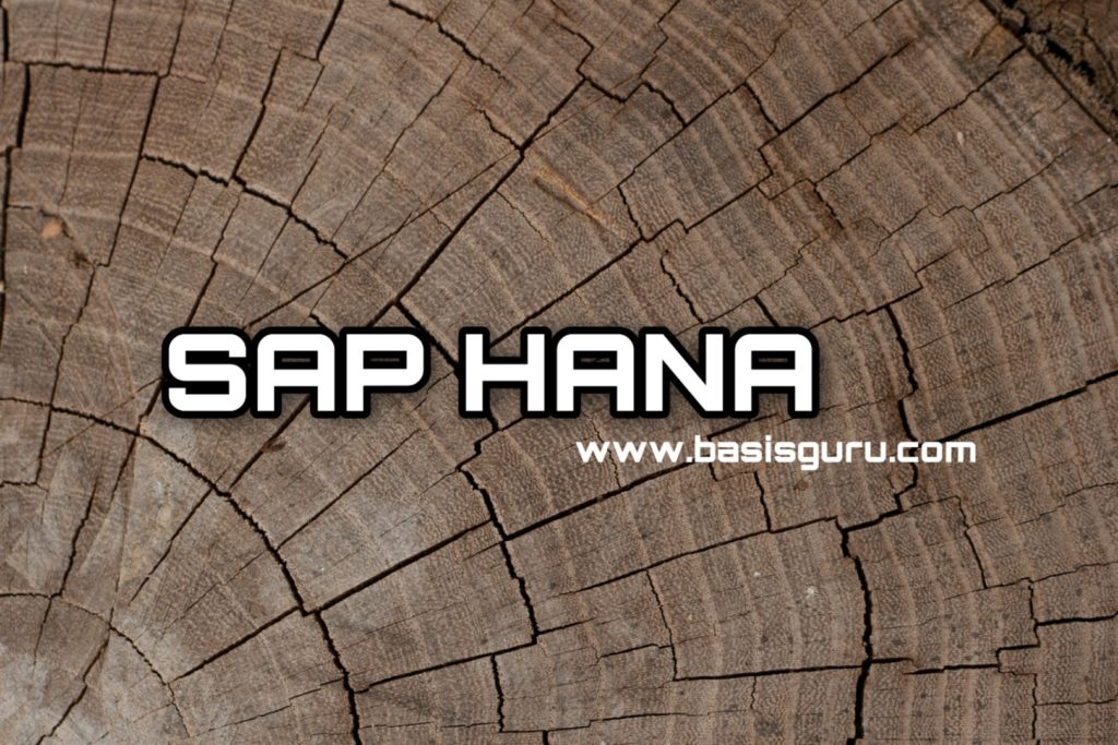 HANA www.basisguru.com