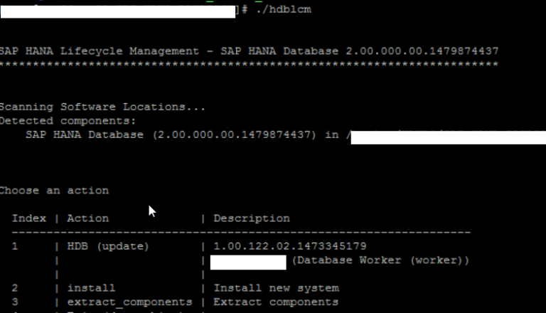 SAP HANA Upgrade - BASIS GURU