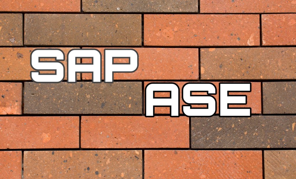 SAP ASE www.basisguru.com