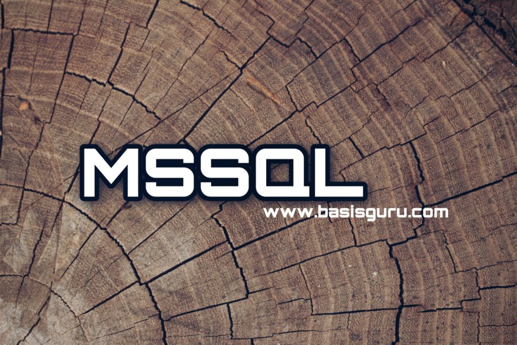 MSSQL_www.basisguru.com