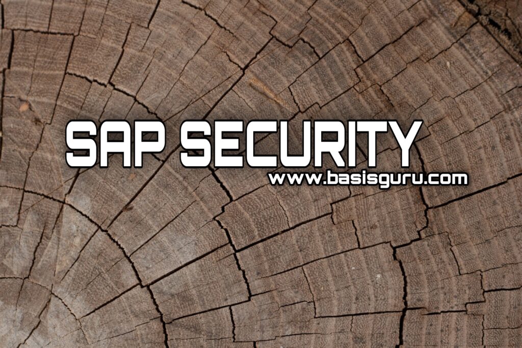 SAP Security